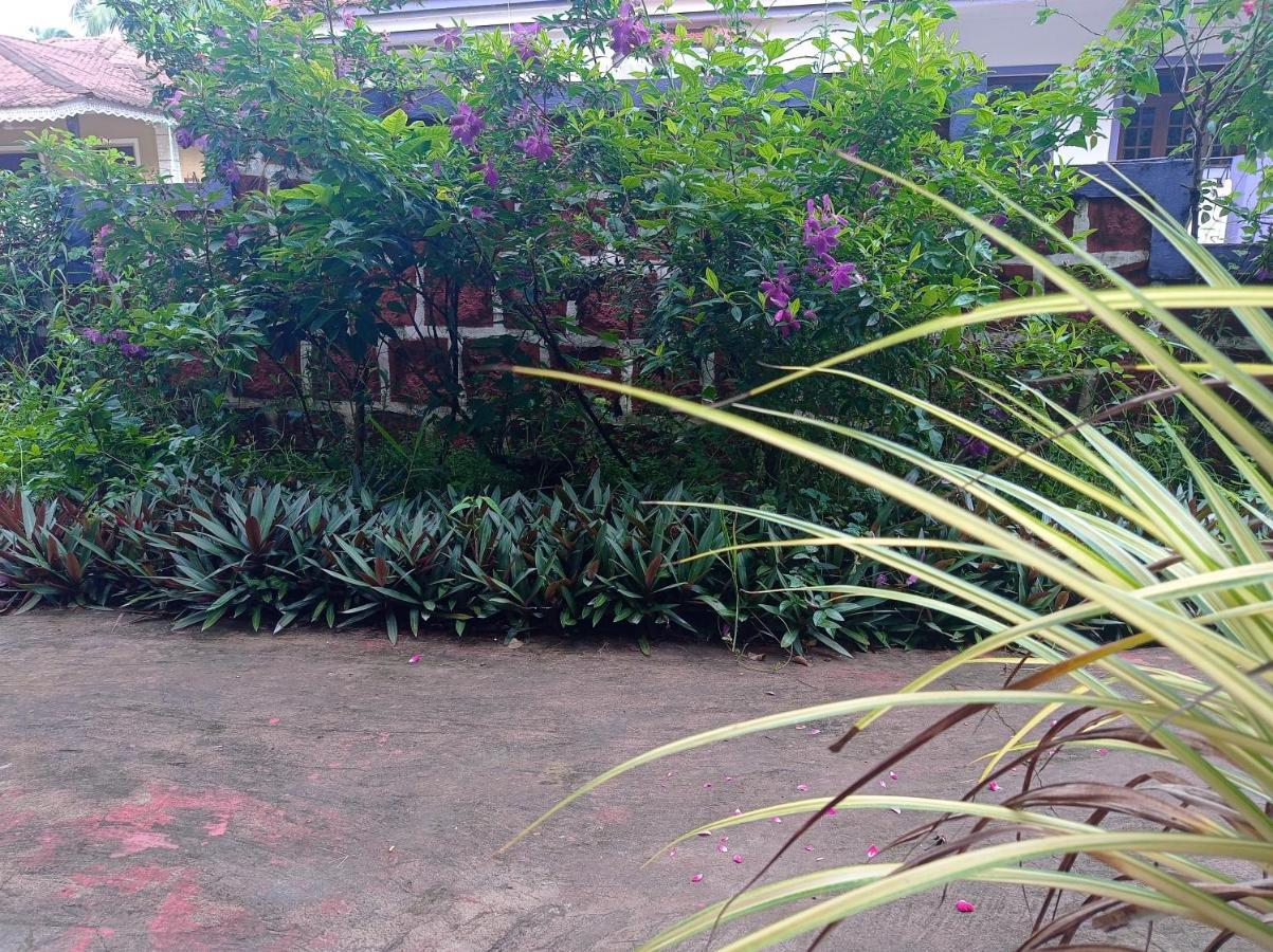 Lobo'S Guesthouse Cavelossim Ngoại thất bức ảnh